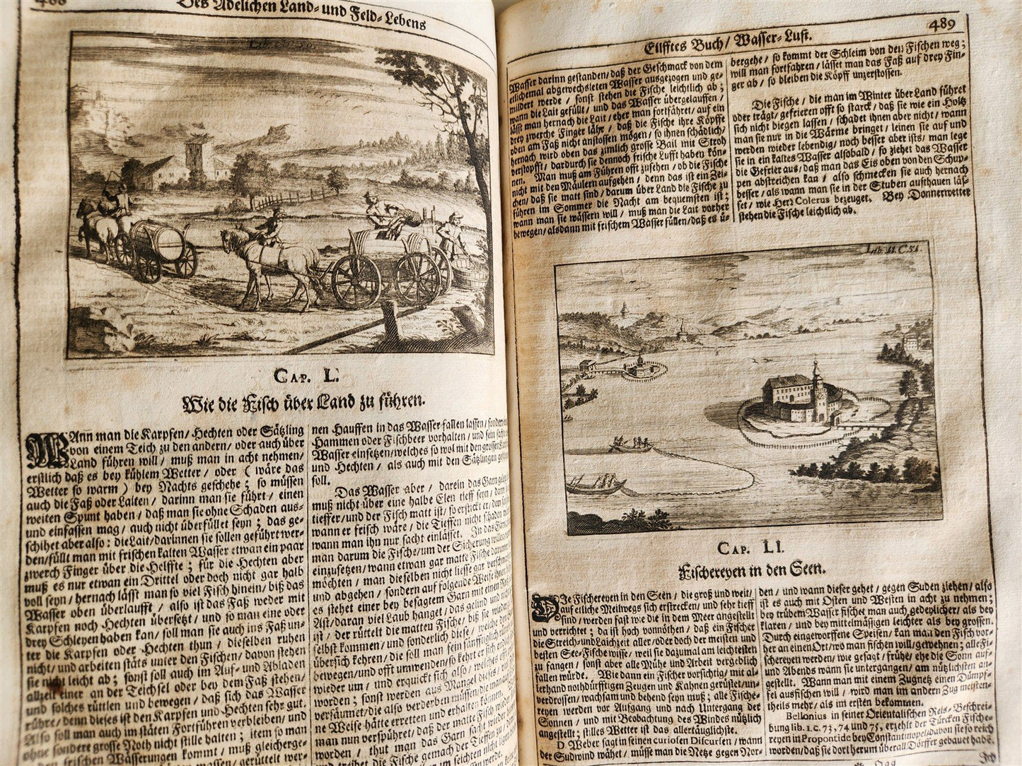1682 Georgica curiosa ILLUSTRATED noble country life antique PIGSKIN BOUND FOLIO