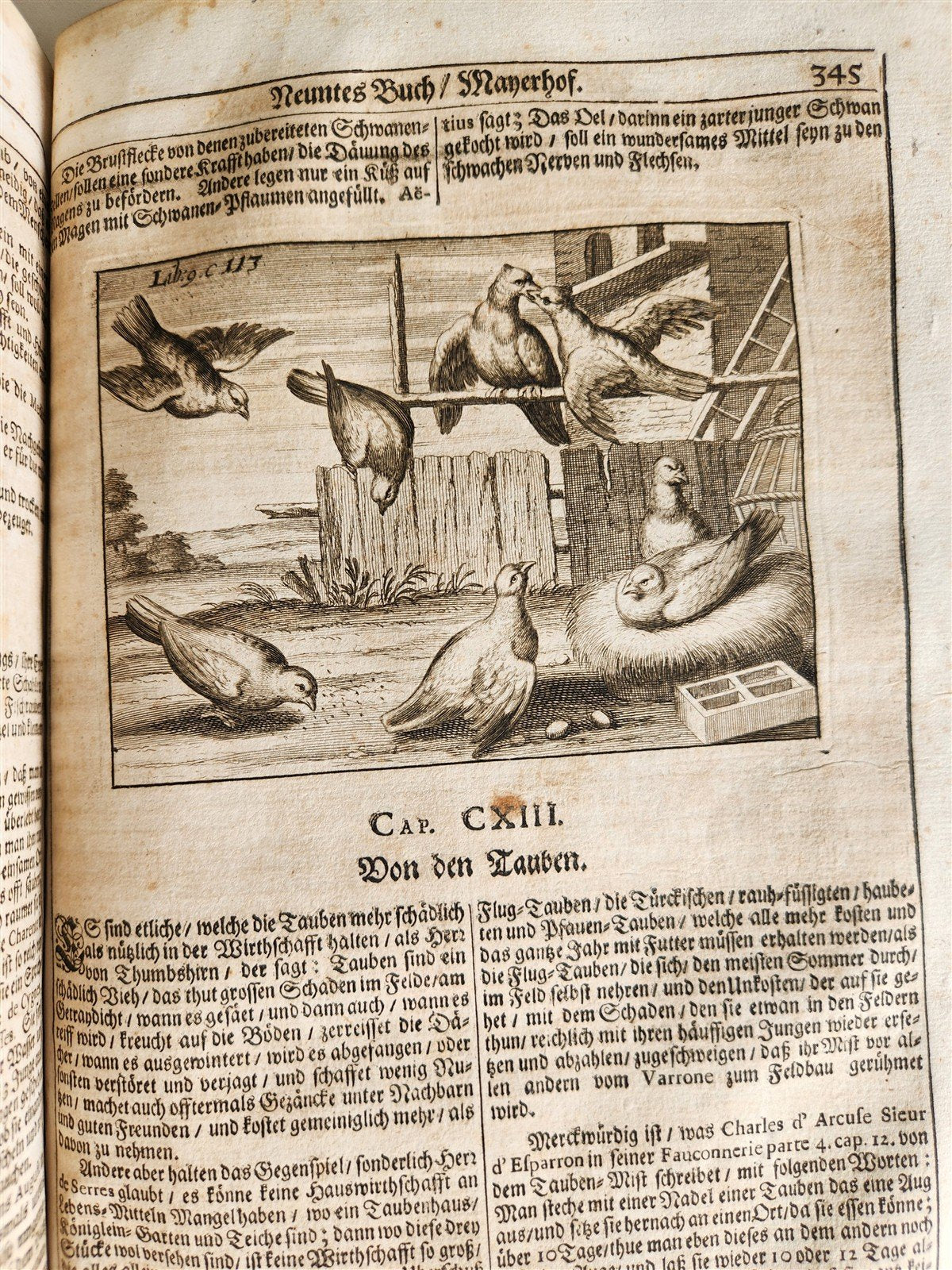 1682 Georgica curiosa ILLUSTRATED noble country life antique PIGSKIN BOUND FOLIO
