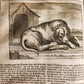 1682 Georgica curiosa ILLUSTRATED noble country life antique PIGSKIN BOUND FOLIO