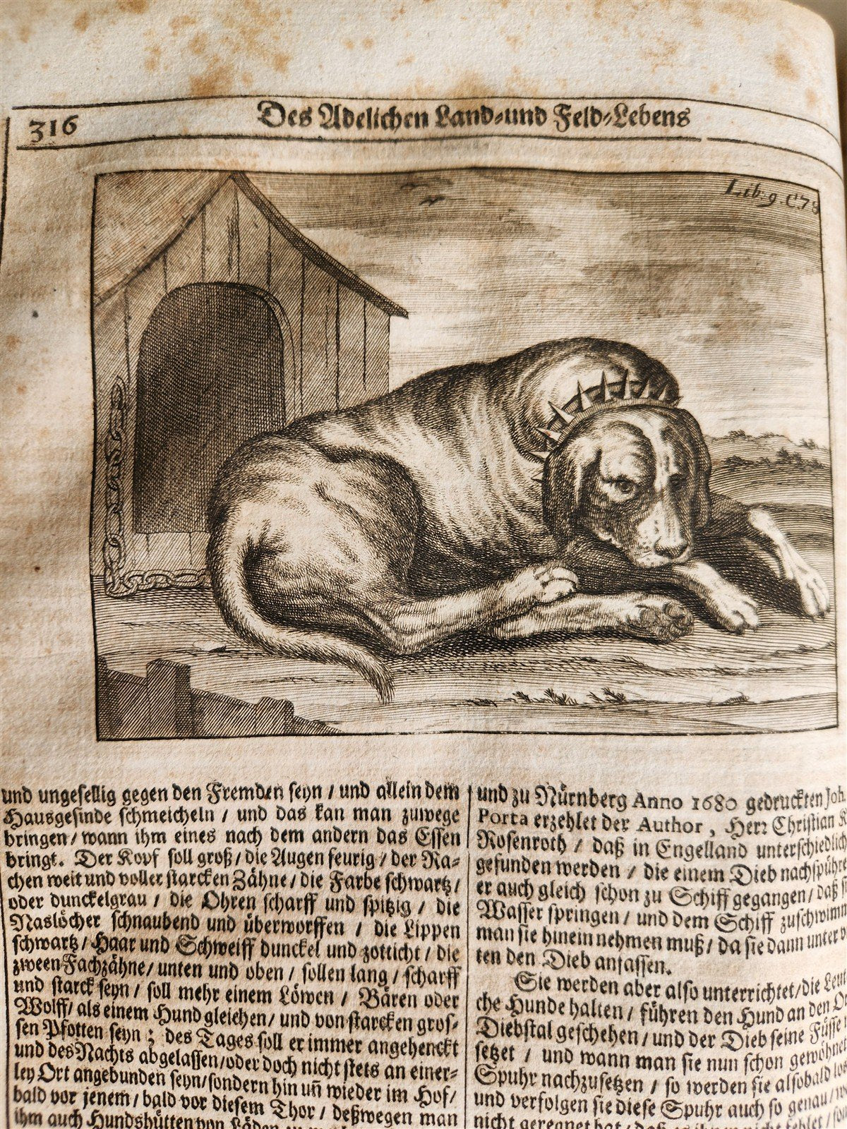 1682 Georgica curiosa ILLUSTRATED noble country life antique PIGSKIN BOUND FOLIO