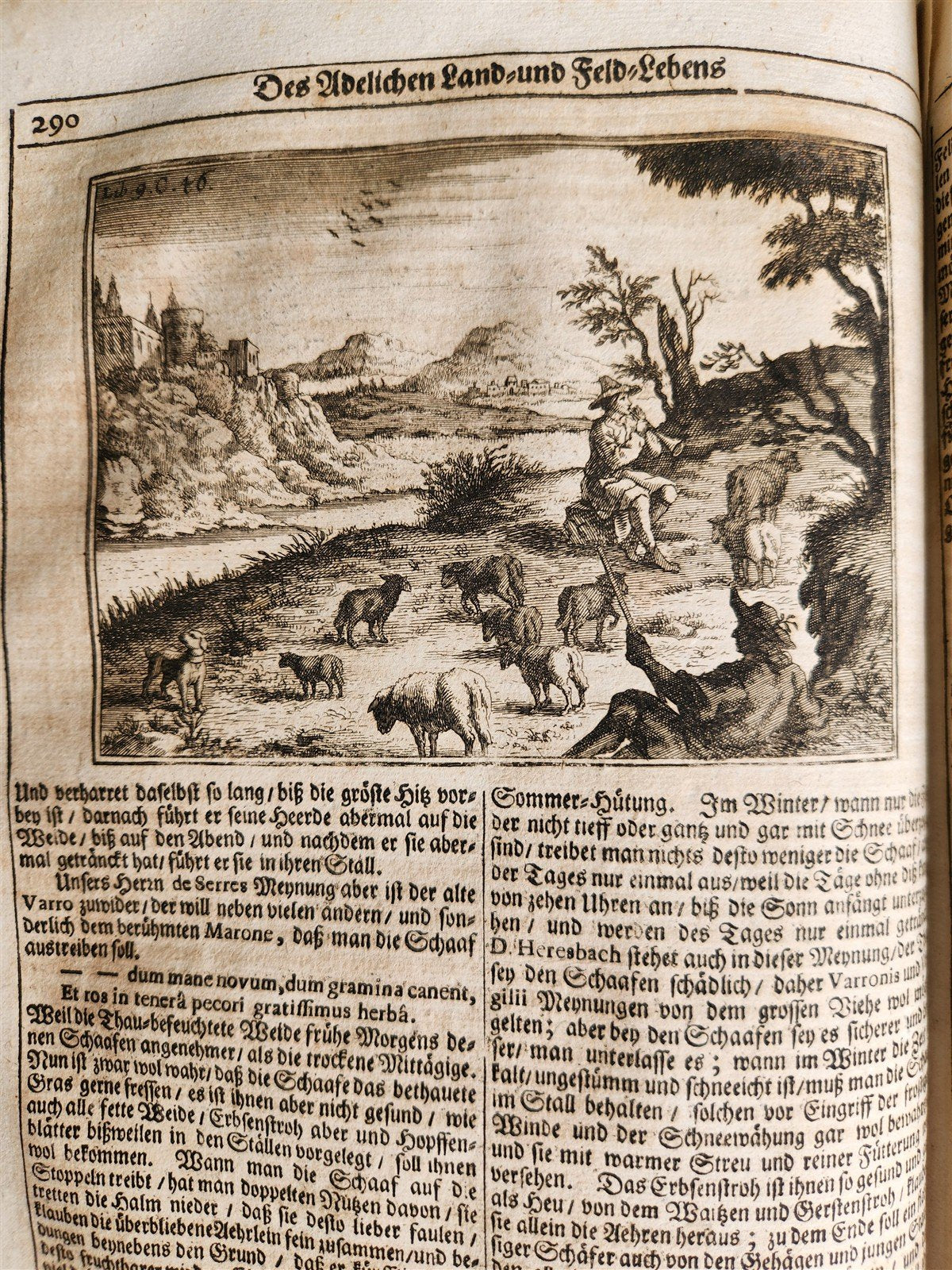 1682 Georgica curiosa ILLUSTRATED noble country life antique PIGSKIN BOUND FOLIO