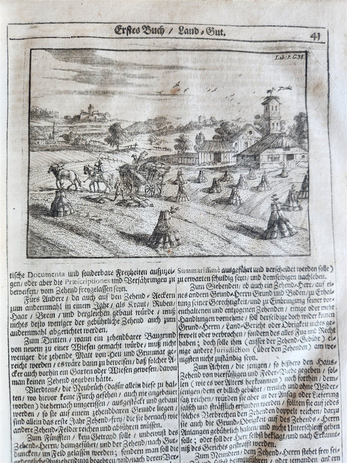 1682 Georgica curiosa ILLUSTRATED noble country life antique PIGSKIN FOLIO