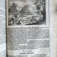 1682 Georgica curiosa ILLUSTRATED noble country life antique PIGSKIN FOLIO