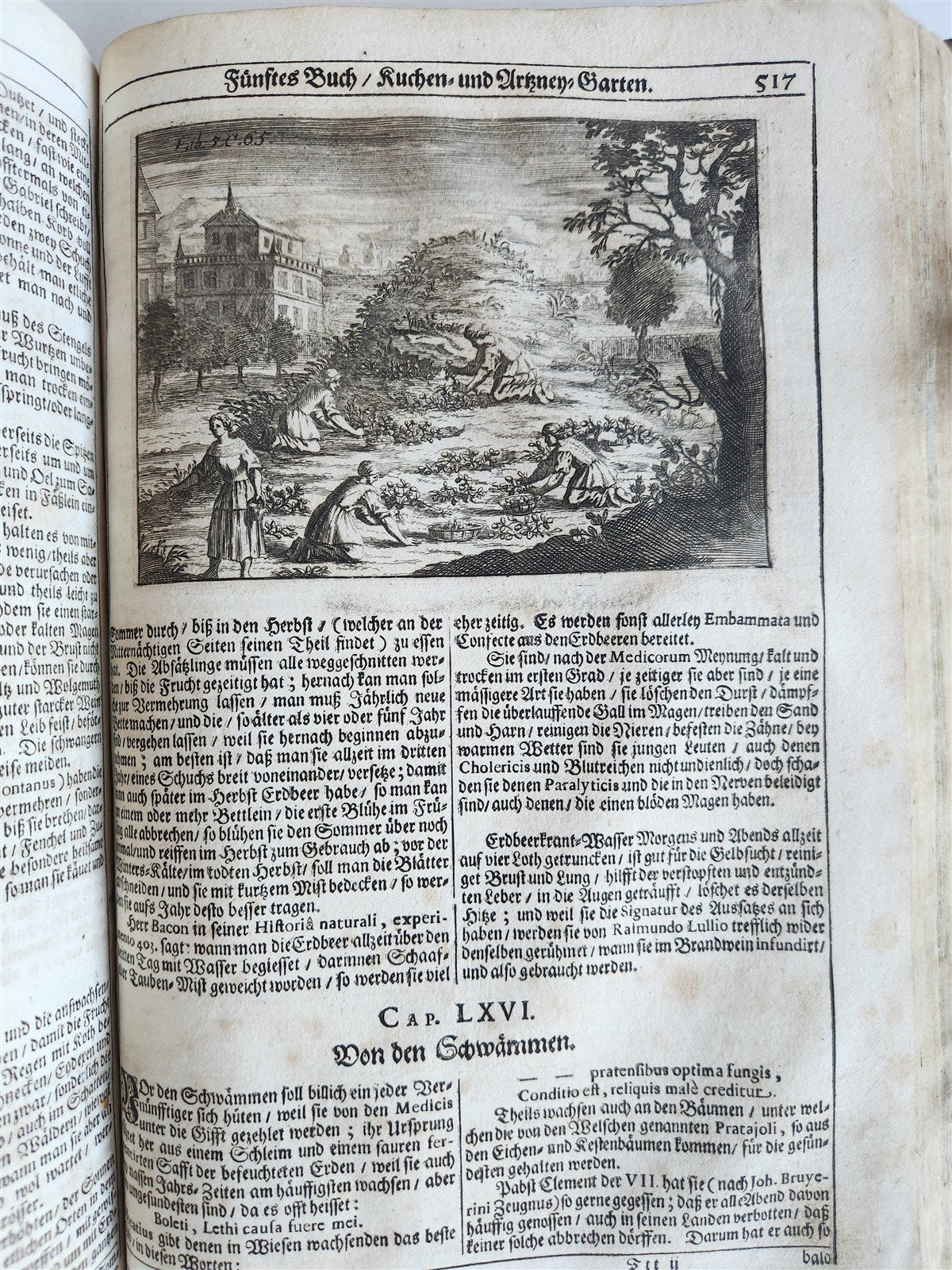 1682 Georgica curiosa ILLUSTRATED noble country life antique PIGSKIN FOLIO