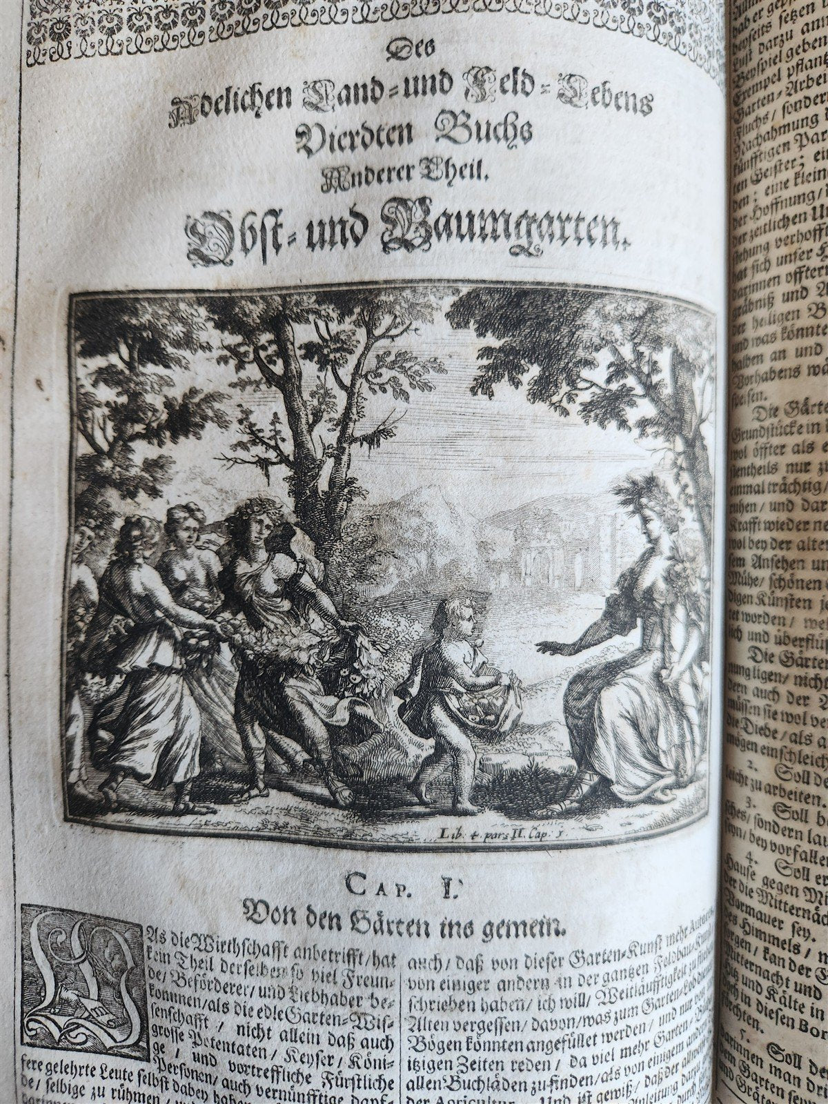 1682 Georgica curiosa ILLUSTRATED noble country life antique PIGSKIN FOLIO