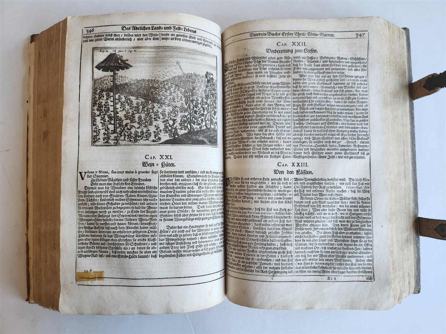 1682 Georgica curiosa ILLUSTRATED noble country life antique PIGSKIN FOLIO