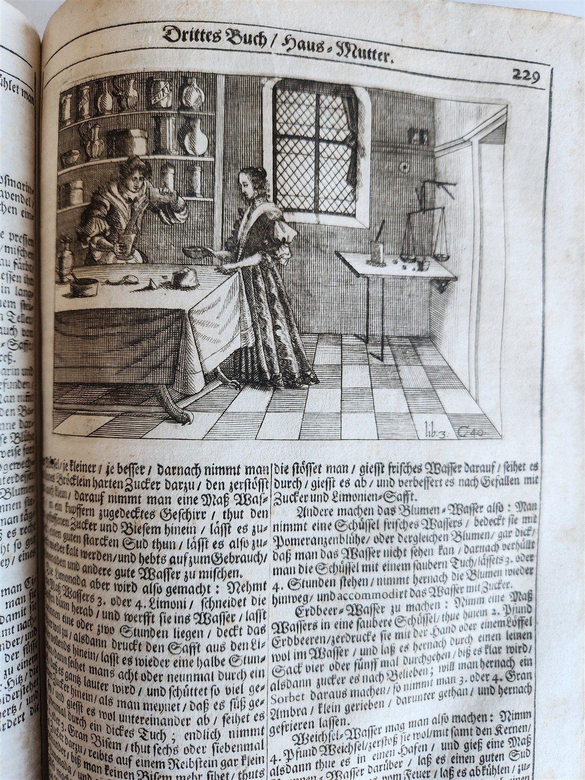 1682 Georgica curiosa ILLUSTRATED noble country life antique PIGSKIN FOLIO