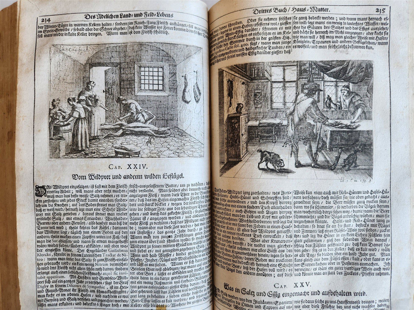 1682 Georgica curiosa ILLUSTRATED noble country life antique PIGSKIN FOLIO
