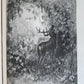 1880s CRUSADES CULTURE of THEIR TIME antique GUSTAVE DORE ILLUSTRATED FOLIO