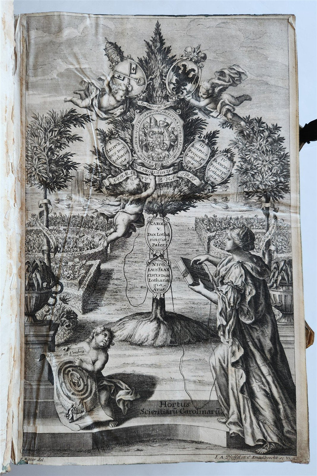 1708 CANON LAW by Jakob Wex antique PIGSKIN BOUND FOLIO in LATIN