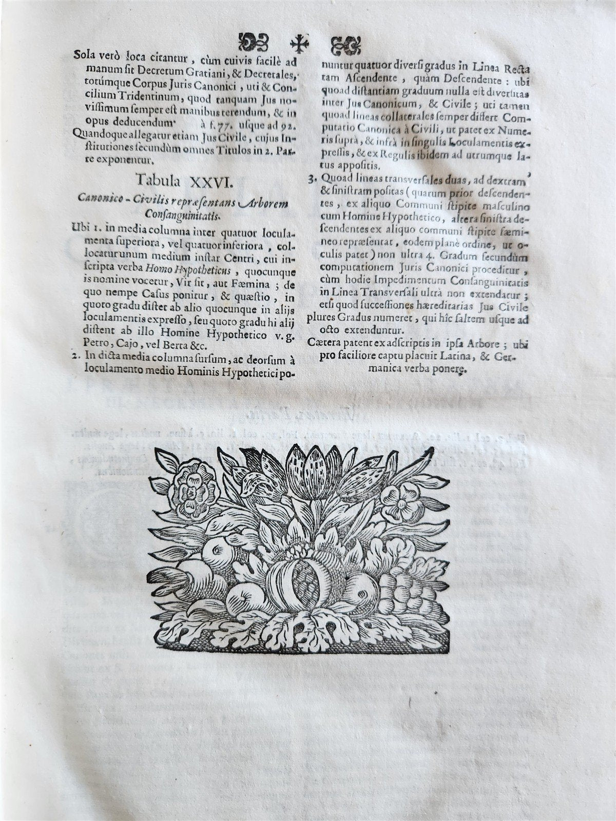 1708 CANON LAW by Jakob Wex antique PIGSKIN BOUND FOLIO in LATIN