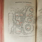 1862 SINAI & PALESTINE in CONNECTION w/ THEIR HISTORY antique ILLUSTRATED w/MAPS