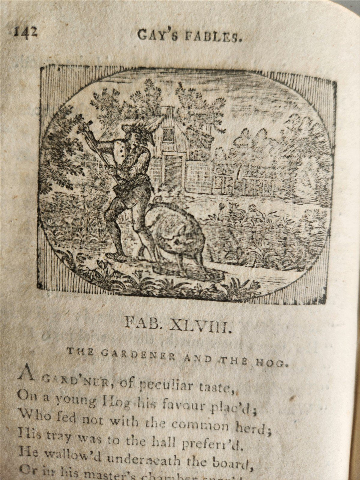 1797 FABLES of JOHN GAY antique ILLUSTRATED in ENGLISH poetry