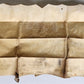 17th CENTURY MANUSCRIPT on VELLUM ANTIQUE LEGAL DOCUMENT in ENGLISH