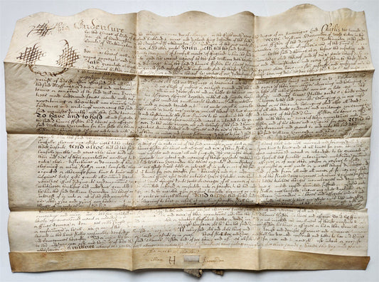 1665 17th CENTURY MANUSCRIPT on VELLUM ANTIQUE BRITISH LEGAL DOCUMENT in ENGLISH