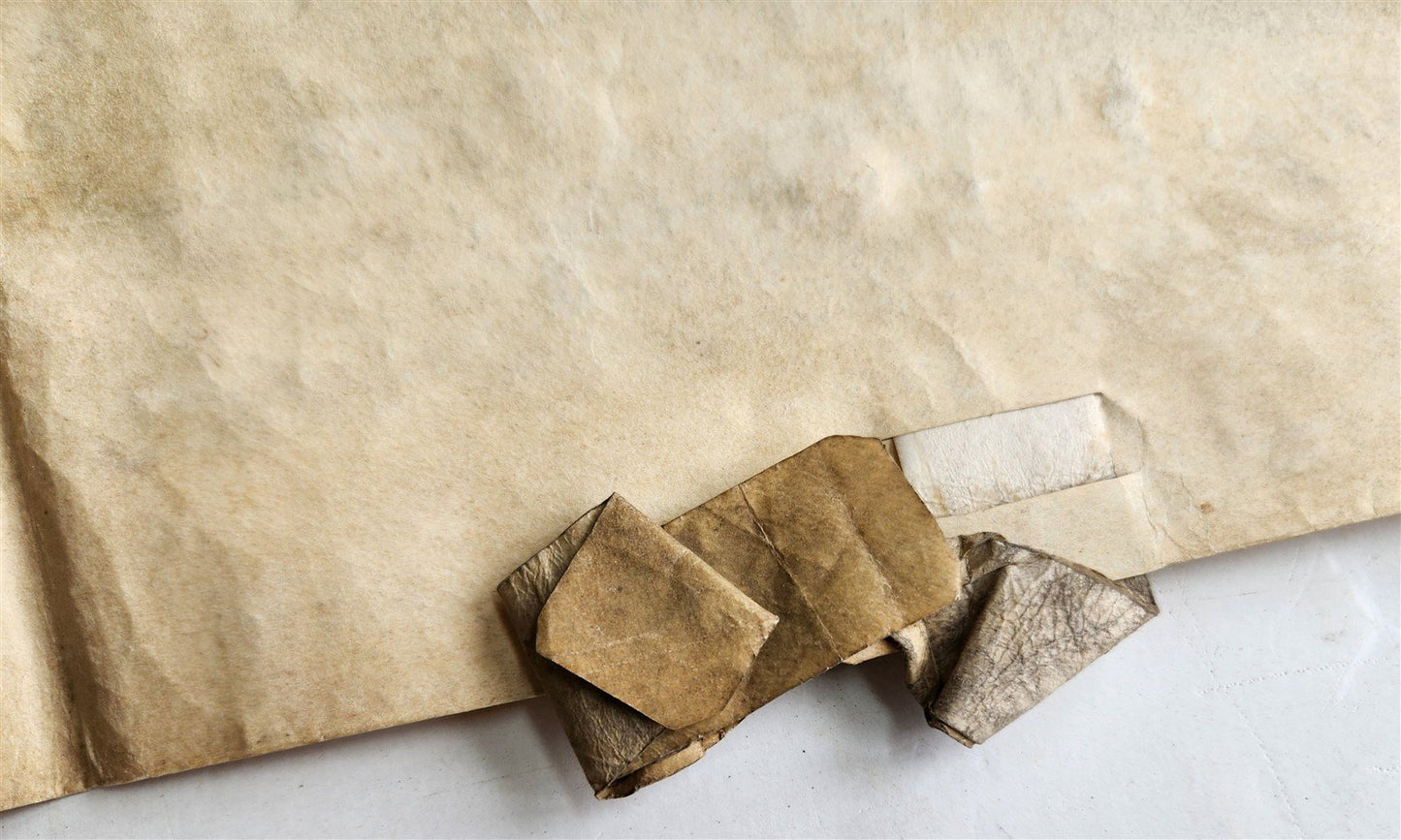 1665 17th CENTURY MANUSCRIPT on VELLUM ANTIQUE BRITISH LEGAL DOCUMENT in ENGLISH