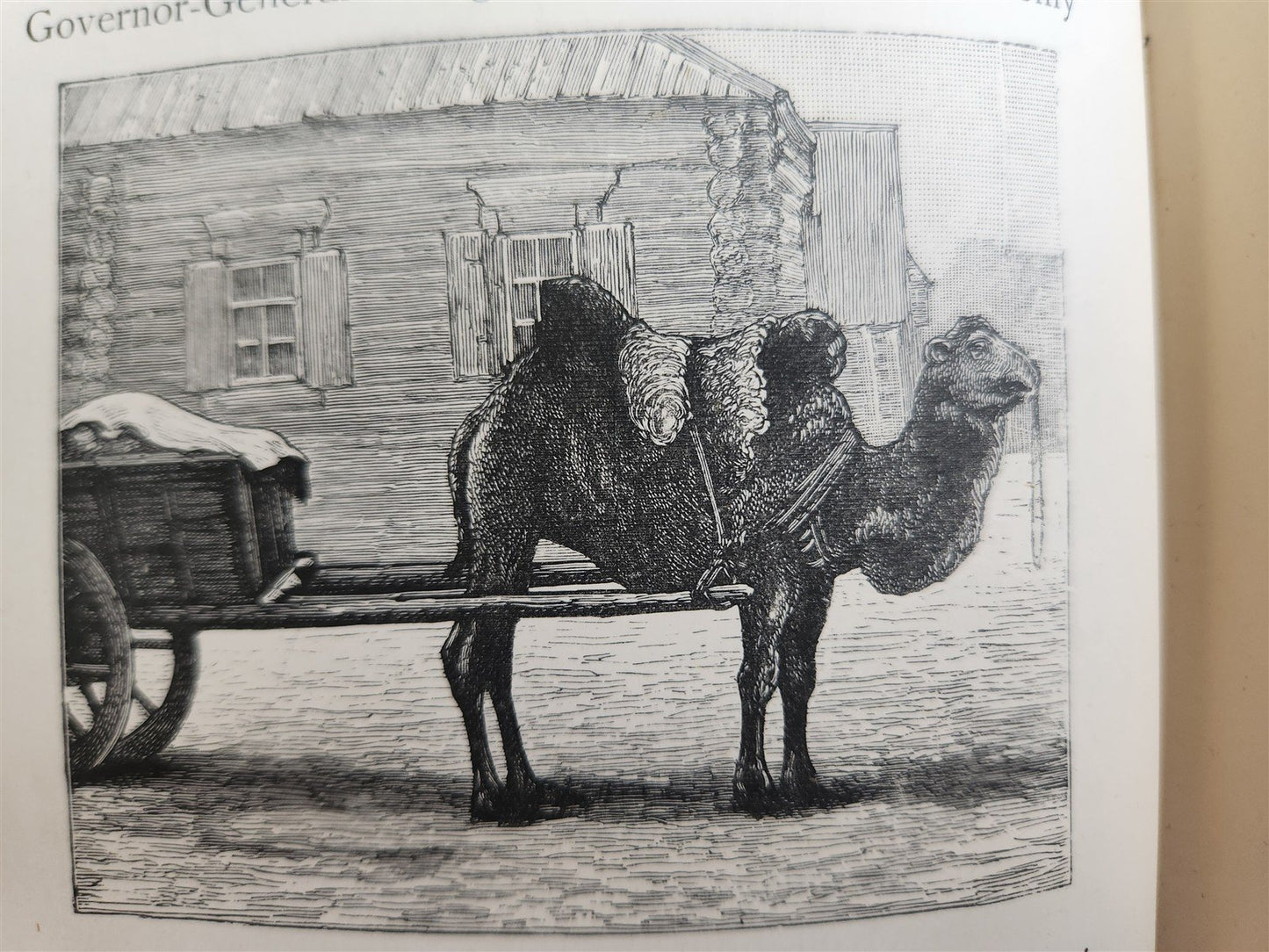 1885 Russian Central Asia Including Kuldja Bokhara Kiva Merv ANTIQUE illustrated