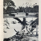 1917 OUR HAWAII By Charmain Kittredge London ANTIQUE illustrated
