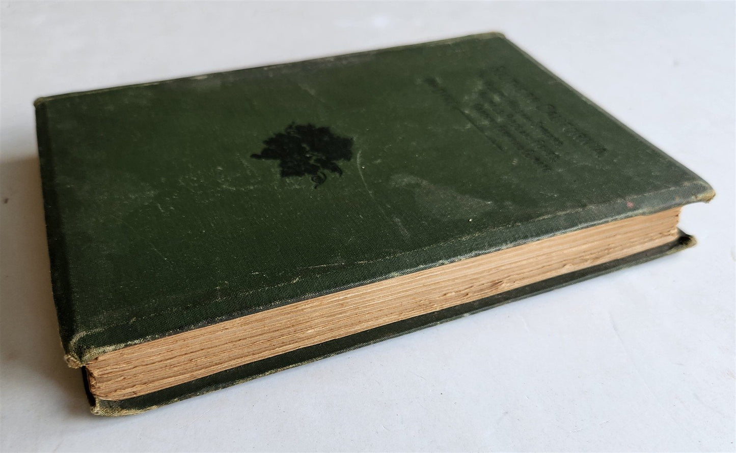 1886 SOUTHERN CALIFORNIA Its Valleys, Hills & Streams ANTIQUE Americana