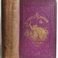 1860 MY FIRST VOYAGE TO SOUTHERN SEAS by KINGSTON ANTIQUE