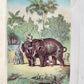1860 MY FIRST VOYAGE TO SOUTHERN SEAS by KINGSTON ANTIQUE