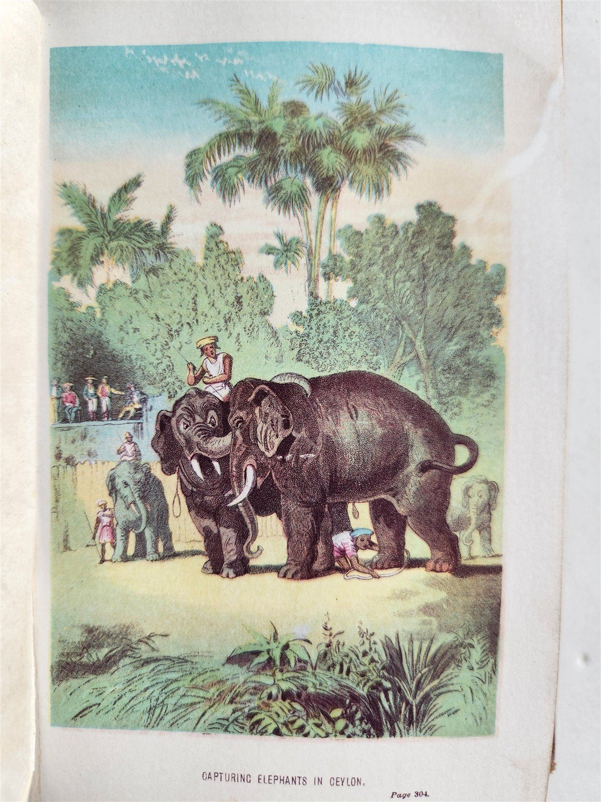 1860 MY FIRST VOYAGE TO SOUTHERN SEAS by KINGSTON ANTIQUE
