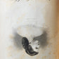1881 LADIES OF THE WHITE HOUSE by Laura C. Holloway antique ILLUSTRATED