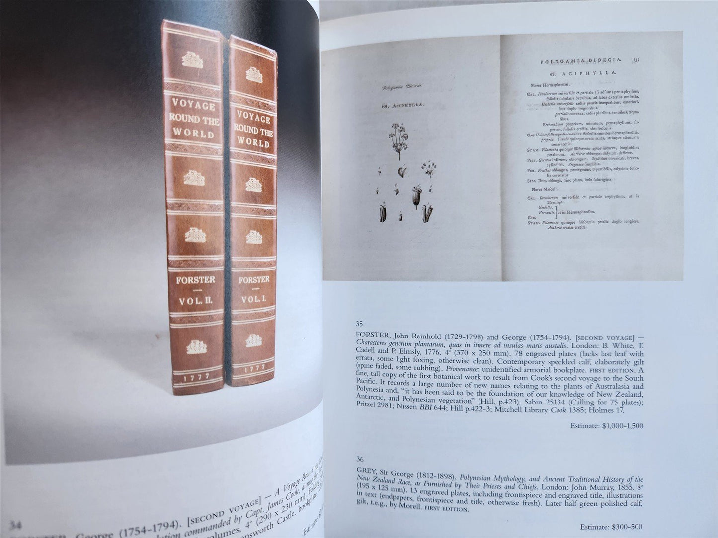BOOKS including CAPTAIN COOK & HIS CIRCLE 2000 CHRISTIE'S AUCTION CATALOG