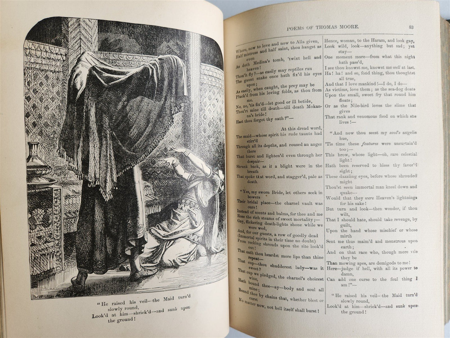 1887 POETRY AND SONG OF IRELAND illustrated ANTIQUE in ENGLISH