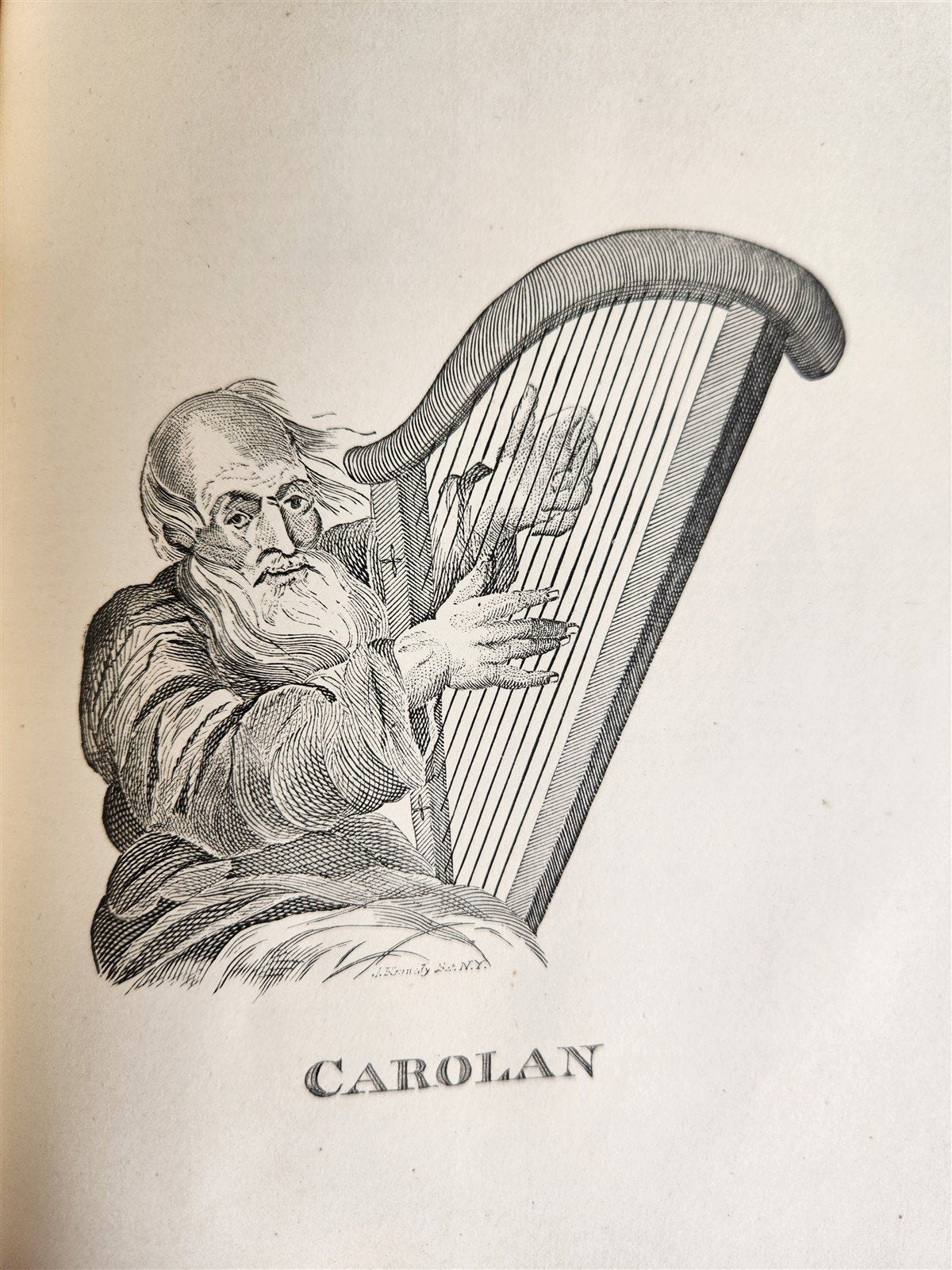 1887 POETRY AND SONG OF IRELAND illustrated ANTIQUE in ENGLISH