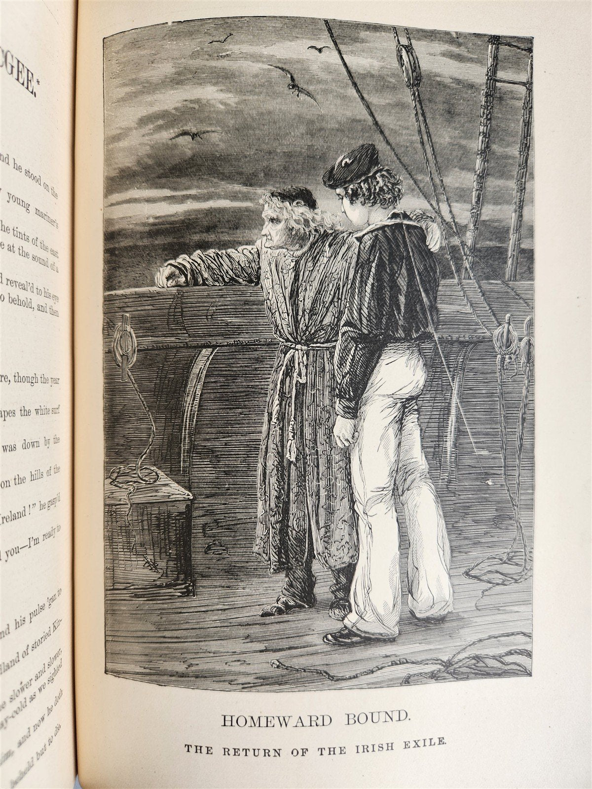1887 POETRY AND SONG OF IRELAND illustrated ANTIQUE in ENGLISH
