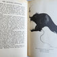 1926 THE ARCTURUS ADVENTURE by William Beebe antique ILLUSTRATED