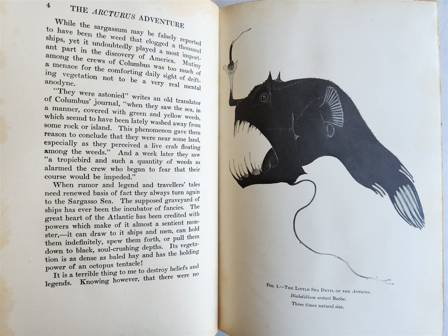 1926 THE ARCTURUS ADVENTURE by William Beebe antique ILLUSTRATED