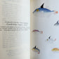1926 THE ARCTURUS ADVENTURE by William Beebe antique ILLUSTRATED