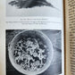 1926 THE ARCTURUS ADVENTURE by William Beebe antique ILLUSTRATED