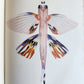 1926 THE ARCTURUS ADVENTURE by William Beebe antique ILLUSTRATED