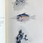 1926 THE ARCTURUS ADVENTURE by William Beebe antique ILLUSTRATED
