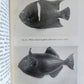 1926 THE ARCTURUS ADVENTURE by William Beebe antique ILLUSTRATED