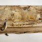1547 D. AURELII AUGUSTINI ECCLESIAE DOCTORIE EXIMII OPUSCOLORUM antique VELLUM