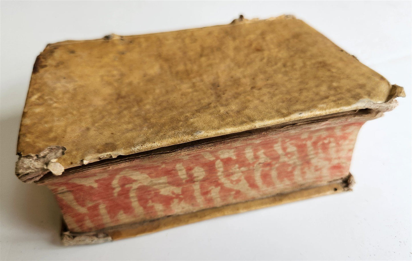 1540 ALDINE PRESS CICERO antique VELLUM 16th century RARE