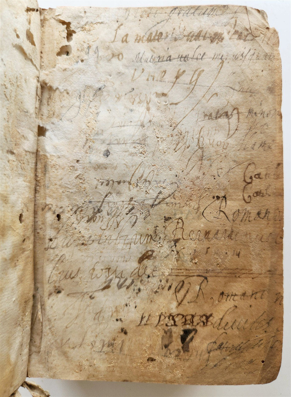1540 ALDINE PRESS CICERO antique VELLUM 16th century RARE
