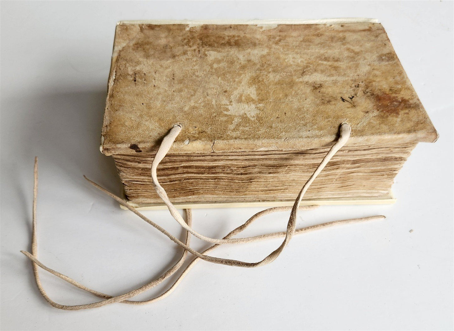 1550 Pietro Messia DELLA SELVA DI VARIA LETTIONE antique ENCYCLOPEDIA RARE