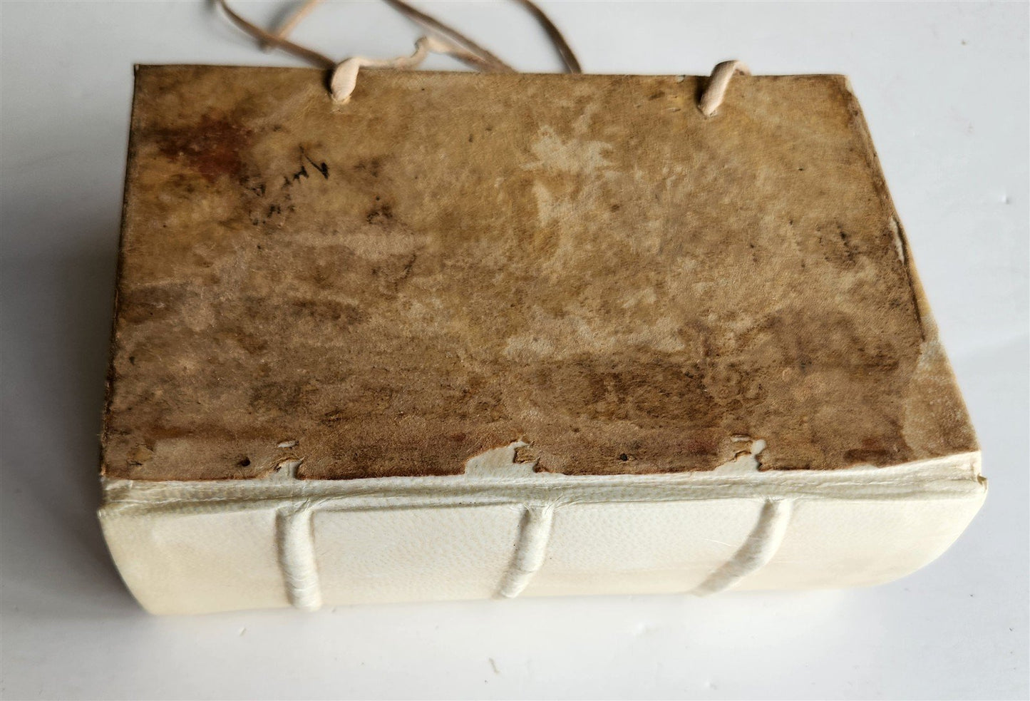 1550 Pietro Messia DELLA SELVA DI VARIA LETTIONE antique ENCYCLOPEDIA RARE