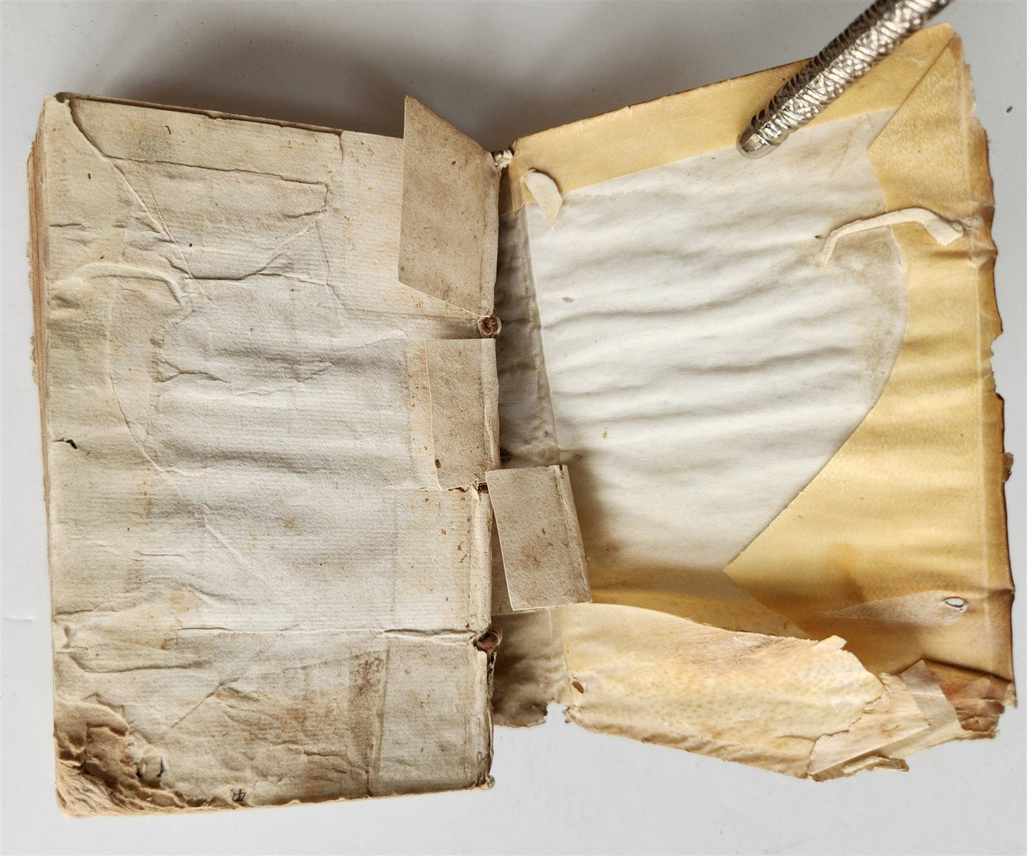 1596 MEDICAL TREATISE by ANDRE du LAURENS antique VELLUM BOUND