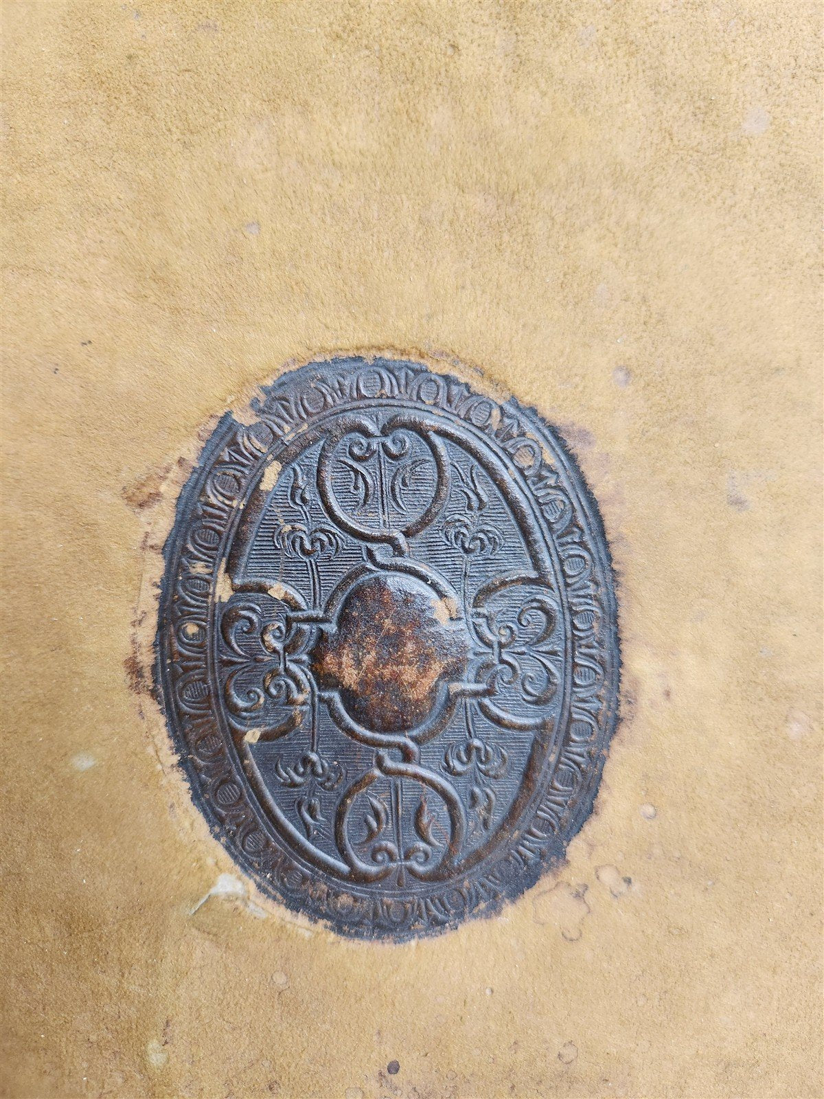 1588 Oeconomia Hippocratis antique MEDICAL 16th CENTURY