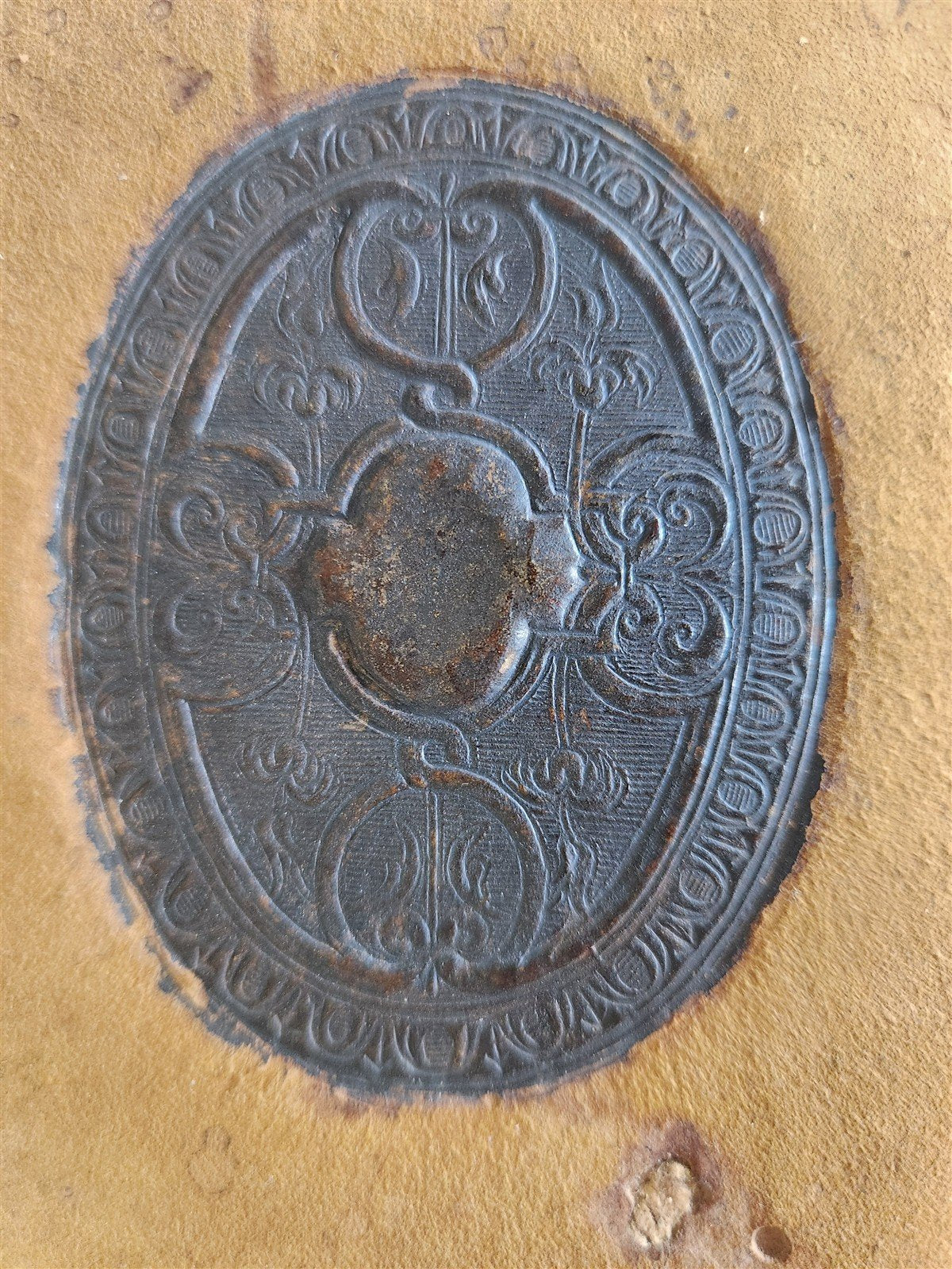 1588 Oeconomia Hippocratis antique MEDICAL 16th CENTURY