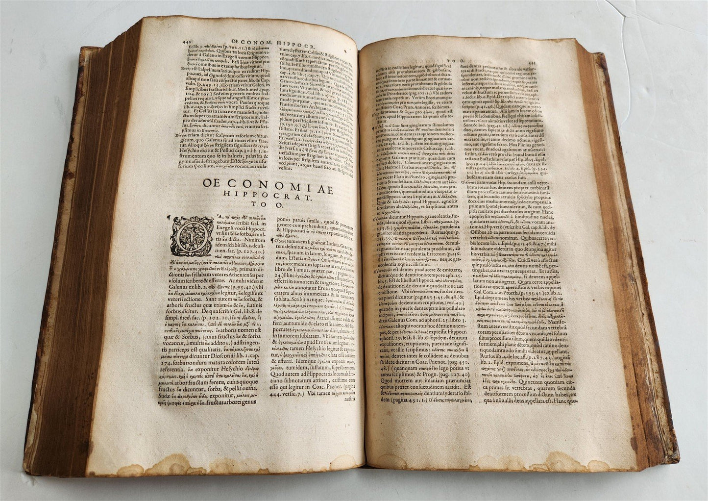 1588 Oeconomia Hippocratis antique MEDICAL 16th CENTURY