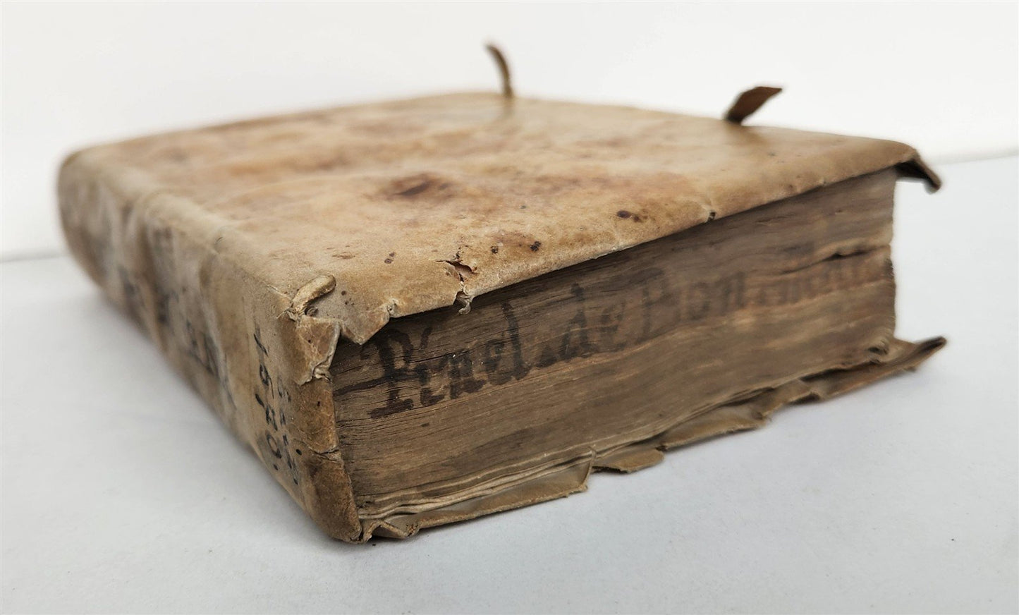 1570 LAW BOOK by ARII PINELI LUSITANI antique VELLUM BINDING w/ MANUSCRIPT TITLE