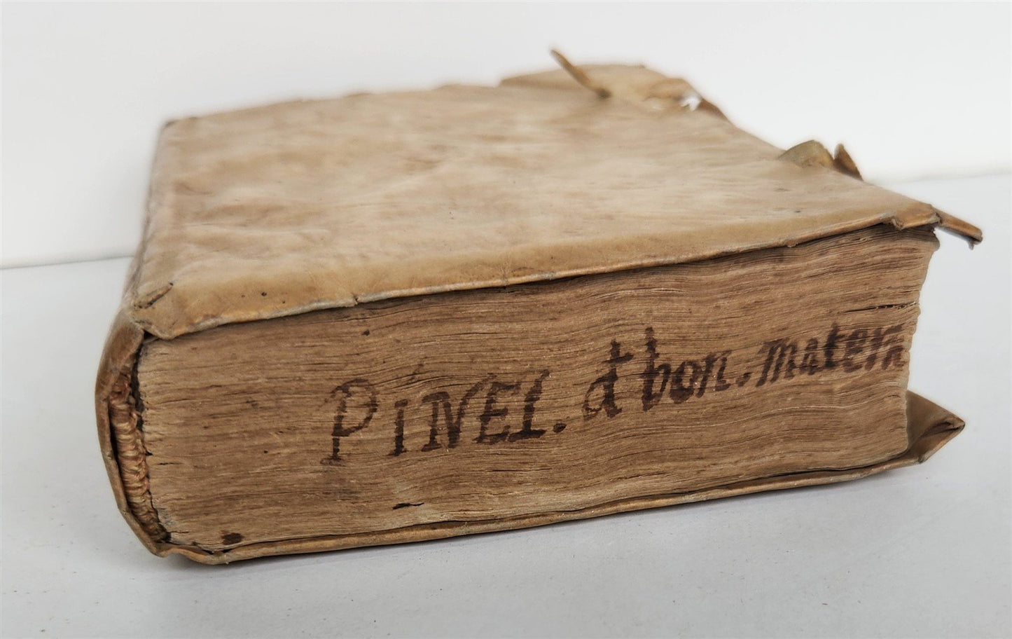 1570 LAW BOOK by ARII PINELI LUSITANI antique VELLUM BINDING w/ MANUSCRIPT TITLE