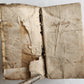 1589 CENTO CASI DI COSCIENZA by SERAFINO RAZZI antique ILLUSTRATED vellum 16th C